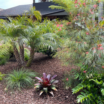 Subtropical with bromeliad