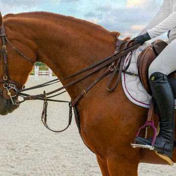 Equestrian: M&M show stables