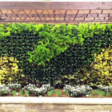 Living Wall