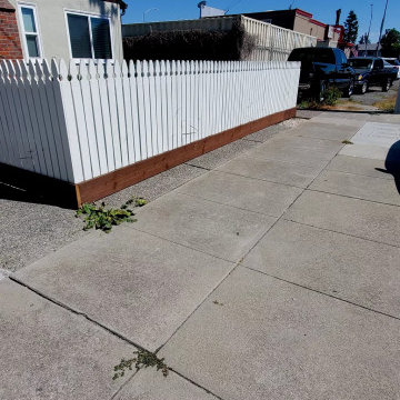 Painted Fences