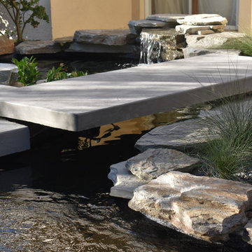 Modern Front Yard Water Garden