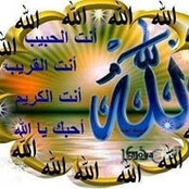 بلبل حيران's photo
