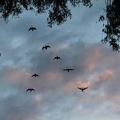 Frank Mertes's photo