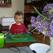 Susan Brito Scorcio's photo
