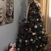 Yasmin Crawley's photo
