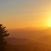 Amanda Mongold's photo