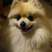 Karlene Hill's photo