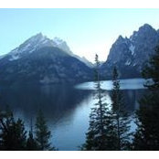 Kim Strickler's photo