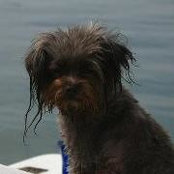 Sheila Weiland's photo