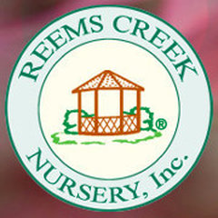 Reems Creek Nursery Inc