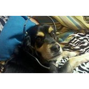 Lisa Iverson's photo