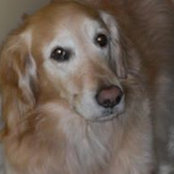 Lynn Campana's photo