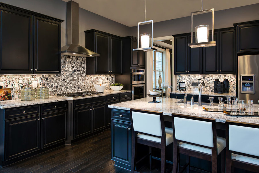 Cabin Branch Seattle Model Home, Maryland