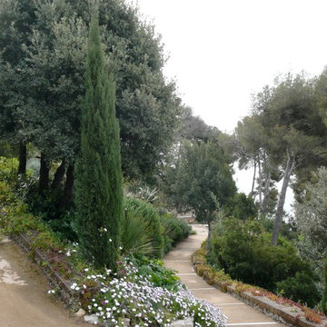 Cavalaire