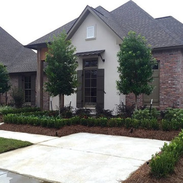 Modern Boxwood Look