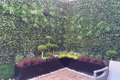 ブリスベンにあるトラディショナルスタイルのおしゃれな庭の写真