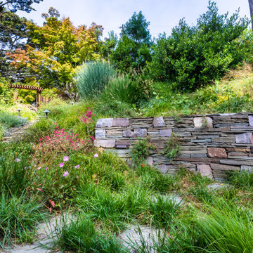 Grassy Meadow Oasis - Reduces Waste While Increasing Habitat