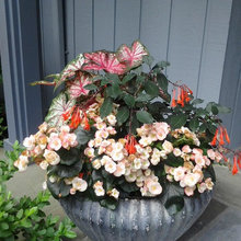 container gardens
