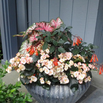 Container Gardens