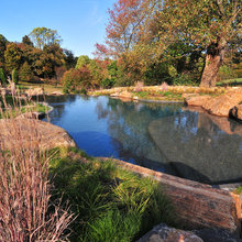 pools and water