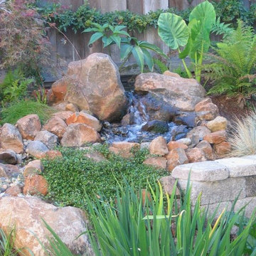 Ponds & Waterfalls from Treasure Valley Water Gardens