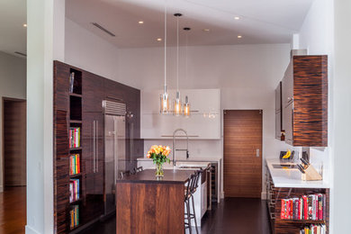 Minimalist kitchen photo in Miami with an island
