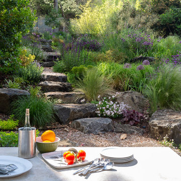 Meadow Garden