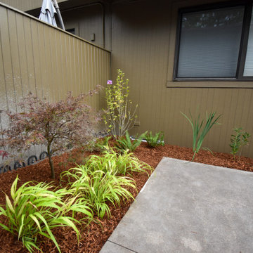Plant Installation
