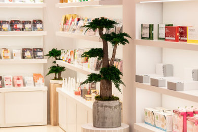 COMERCIO COSMETICA COREANA