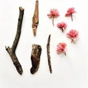 Lise Herrmanns foto