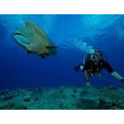 Robert Reeves's photo