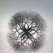 Terri Hooper's photo