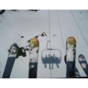 Heather Holl's photo