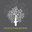 Design Philosophy LLC