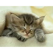 Linawati Ismail's photo