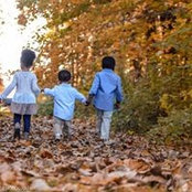 Michelle Clendenning's photo