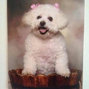 Denise Thrasher's photo
