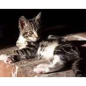 Patricia Ploeger's photo