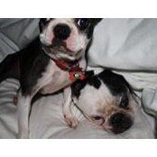 Angela Taylor's photo