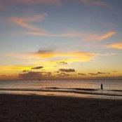 Jessica Pedersen's photo