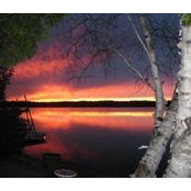 Barbara Wells's photo
