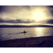 Scott Wilkerson's photo