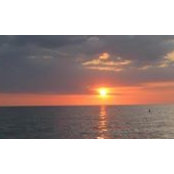 Rose Wendel's photo