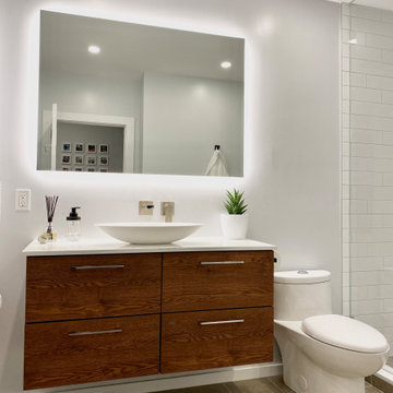 Riverdale Whole Home Reno - Bathroom