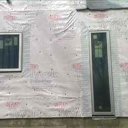 International Modern Remodel - Windows
