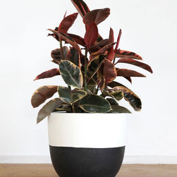 Pop & Scott Black Dipped Pot | Pop & Scott - Indoor Pots And Planters