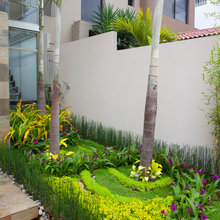 mi jardín