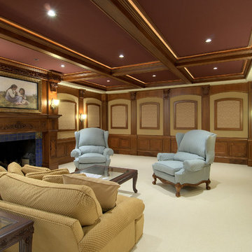 Home Media Rooms