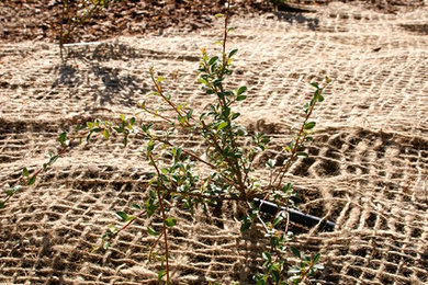 Photo of a contemporary landscaping in Other.