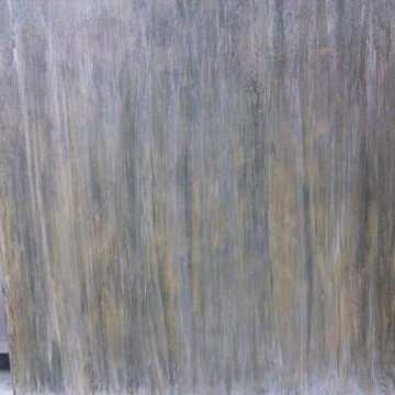 dsm pics
